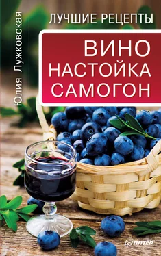 Юлия Лужковская Вино, настойка, самогон. Лучшие рецепты обложка книги