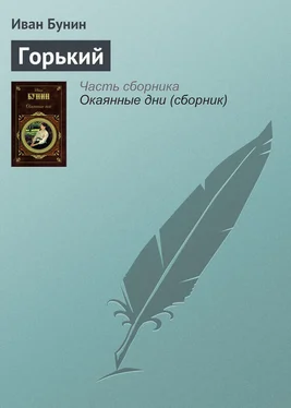 Иван Бунин Горький обложка книги