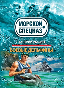 Валерий Рощин Боевые дельфины обложка книги