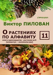 Виктор Пилован - О растениях по алфавиту. Книга одиннадцатая. Растения на К (клиантус – колокольчик)