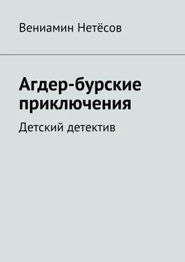 Вениамин Нетёсов Агдер-бурские приключения. Детский детектив обложка книги