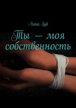 Лина Зуб Ты – моя собственность обложка книги
