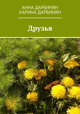 Анна Дарбинян Друзья обложка книги