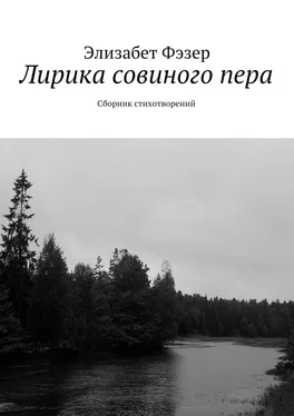 Элизабет Фэзер Лирика совиного пера. Сборник стихотворений обложка книги