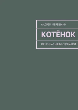 Андрей Мерешкин Котёнок. Оригинальный сценарий обложка книги