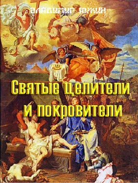 Владимир Южин Cвятые целители и покровители обложка книги