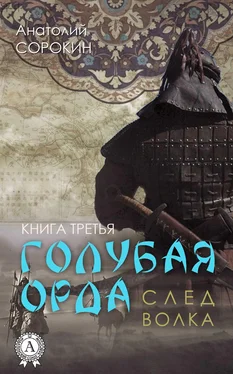 Анатолий Сорокин След волка обложка книги