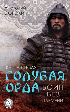 Анатолий Сорокин Воин без племени обложка книги