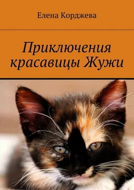 Елена Корджева Приключения красавицы Жужи обложка книги