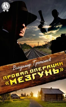 Владимир Третьяков Провал операции «Мезгунь» обложка книги