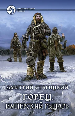 Дмитрий Старицкий Горец. Имперский рыцарь обложка книги