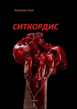 Nastasiya Now Ситкордис обложка книги