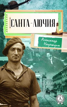 Александр Надеждин Санта-Лючия обложка книги