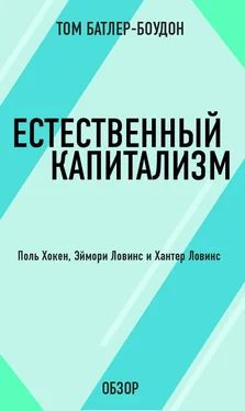 Том Батлер-Боудон Естественный капитализм. Поль Хокен, Эймори Ловинс и Хантер Ловинс (обзор) обложка книги