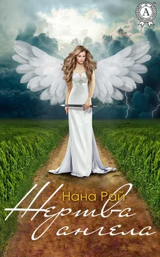 Нана Рай Жертва ангела обложка книги