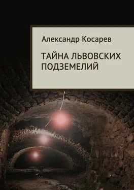 Александр Косарев Тайна львовских подземелий обложка книги