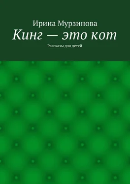 Ирина Мурзинова Кинг – это кот. Рассказы для детей обложка книги