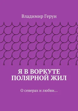 Владимир Герун Я в Воркуте полярной жил. О северах и любви… обложка книги