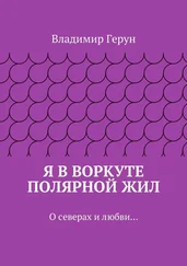 Владимир Герун - Я в Воркуте полярной жил. О северах и любви…