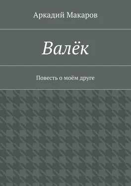 Аркадий Макаров Валёк. Повесть о моём друге обложка книги