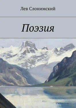 Лев Слонимский Поэзия обложка книги