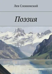 Лев Слонимский - Поэзия