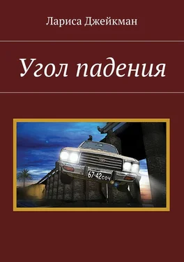 Лариса Джейкман Угол падения обложка книги