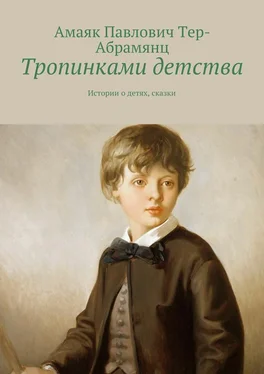 Амаяк Тер-Абрамянц Тропинками детства. Истории о детях, сказки обложка книги