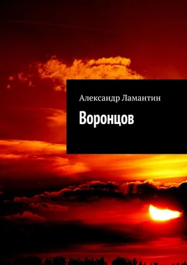 Александр Ламантин Воронцов обложка книги