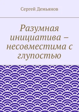 Сергей Демьянов Разумная инициатива – несовместима с глупостью обложка книги