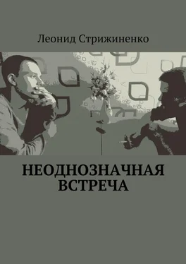 Леонид Стрижиненко Неоднозначная встреча обложка книги