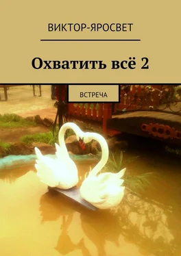 Виктор-Яросвет Охватить всё 2. Встреча обложка книги