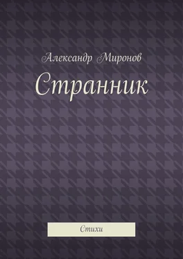 Александр Миронов Странник. Стихи обложка книги