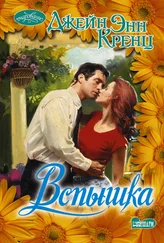 Джейн Энн Кренц - Вспышка