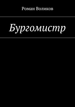 Роман Воликов Бургомистр обложка книги