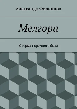 Александр Филиппов Мелгора. Очерки тюремного быта обложка книги