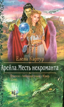 Елена Картур Месть некроманта обложка книги