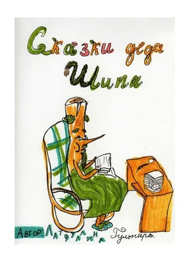 Гульнара Латфуллина Сказки Деда Шипа обложка книги