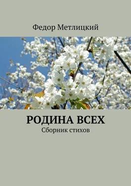 Федор Метлицкий Родина всех. Сборник стихов обложка книги