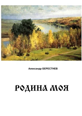 Александр Берестнев Родина моя обложка книги