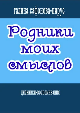 Галина Сафонова-Пирус Родники моих смыслов обложка книги