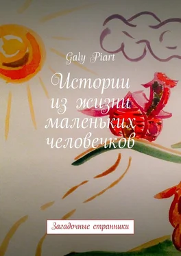 Galy Piart Истории из жизни маленьких человечков. Загадочные странники обложка книги