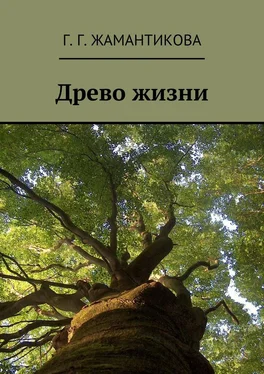 Г. Жамантикова Древо жизни обложка книги