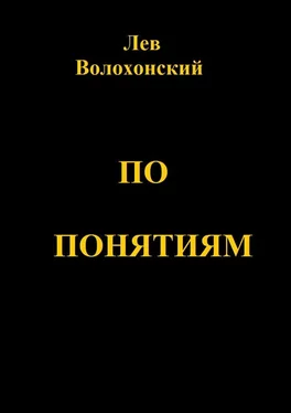 Лев Волохонский По понятиям. Происхождение современной общественной морали обложка книги