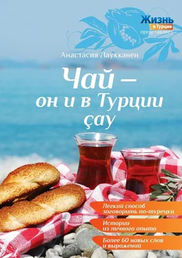 Анастасия Лаукканен Чай – он и в Турции çay обложка книги