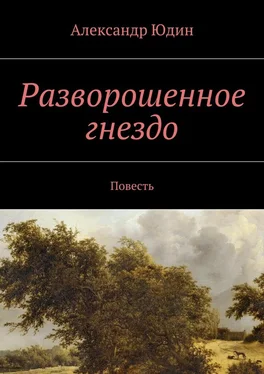 Александр Юдин Разворошенное гнездо. Повесть обложка книги