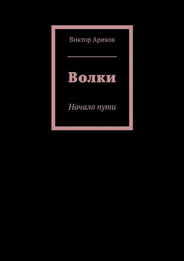 Виктор Ариков Волки. Начало пути обложка книги