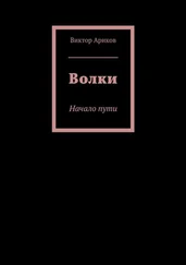 Виктор Ариков - Волки. Начало пути