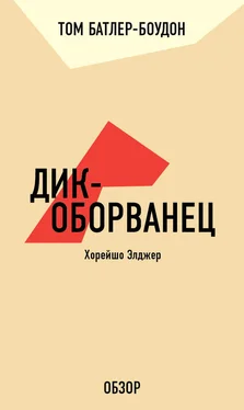 Том Батлер-Боудон Дик-оборванец. Хорейшо Элджер (обзор) обложка книги