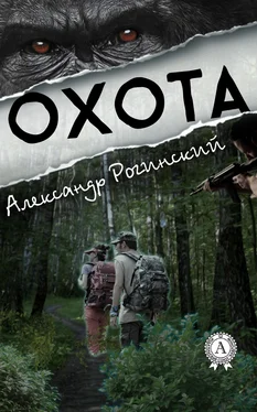 Александр Рогинский Охота обложка книги